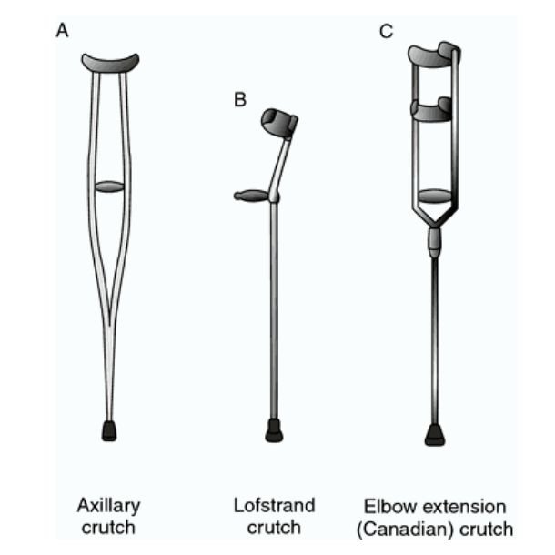 Models of Crutches