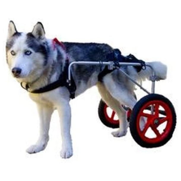 Elite Dog Wheelchair.