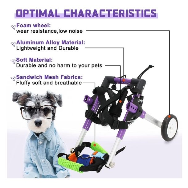 Best Wheelchair For Dogs [2022]